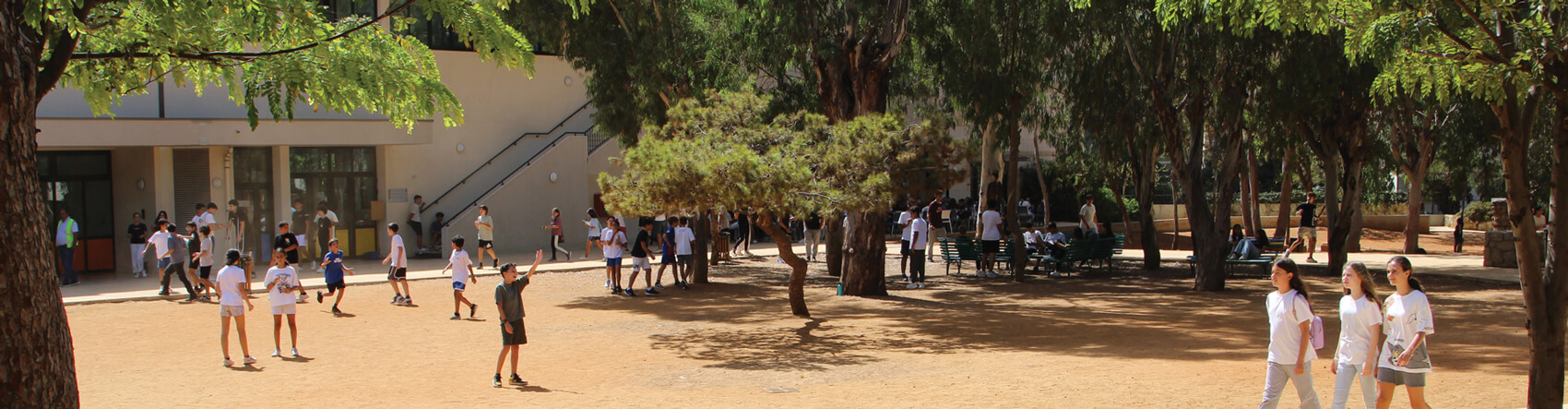 Le collège et le lycée